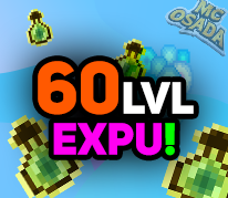 60 LEVEL EXP